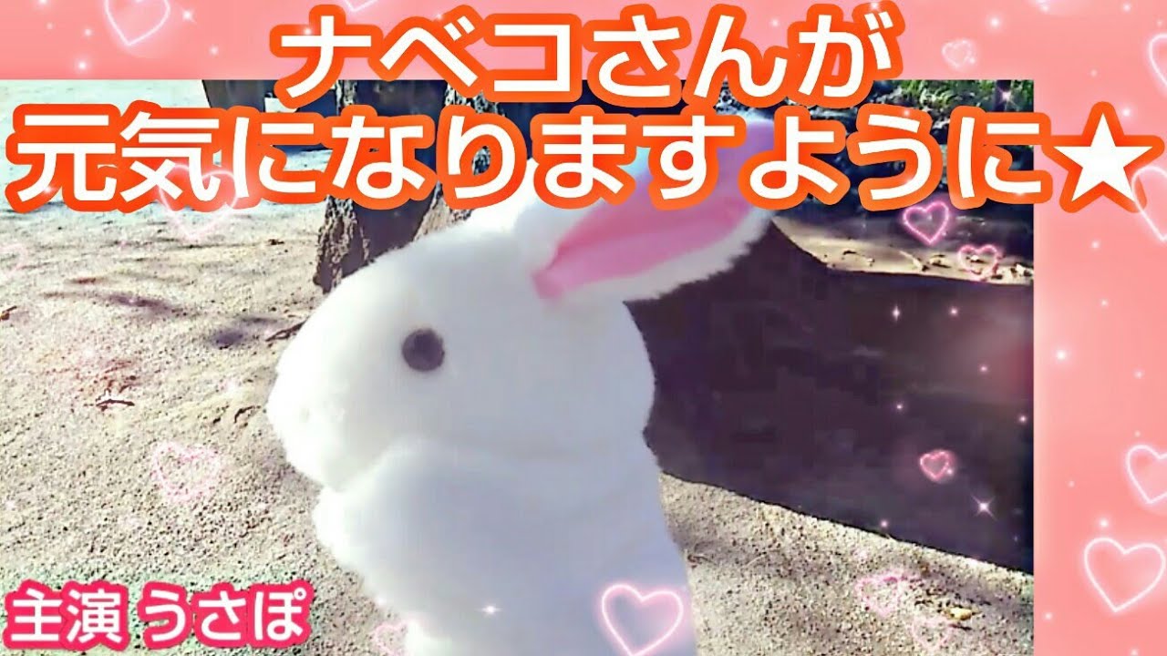 ナベコさんへ☆ 元気になりますように☆(o＾・＾o)/