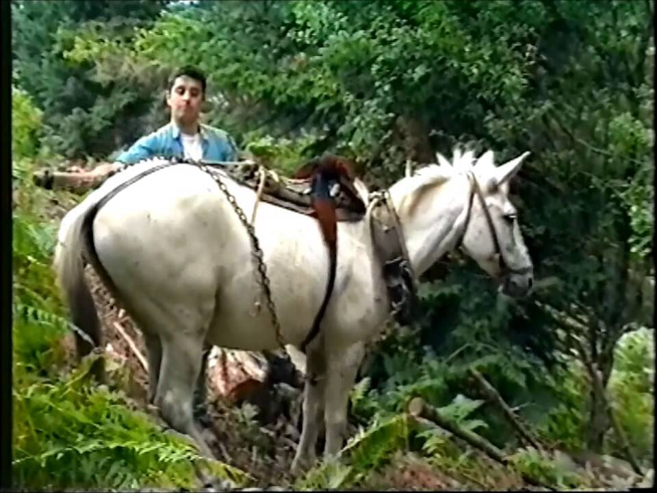 ΚΟΨΙΜΟ ΚΑΙ ΤΡΑΒΗΓΜΑ ΚΟΥΤΣΟΥΡΩΝ-ΠΕΡΙΟΧΗ ΑΣΠΡΟΠΟΤΑΜΟΥ ΤΡΙΚΑΛΩΝ-2000