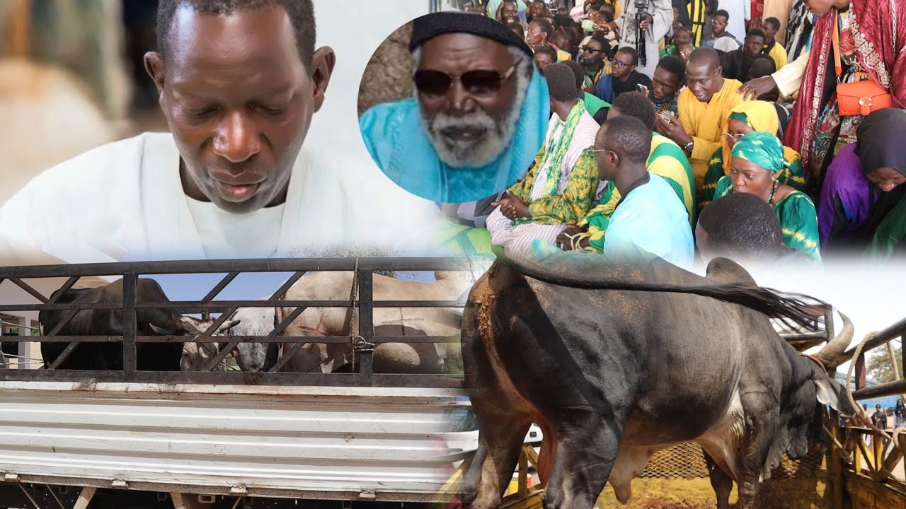 4ème Ndogou Adiouma Diourbel Déballé Adiya Wakeur Serigne Amdy Yacine fall ci Serigne Amdy Khady 