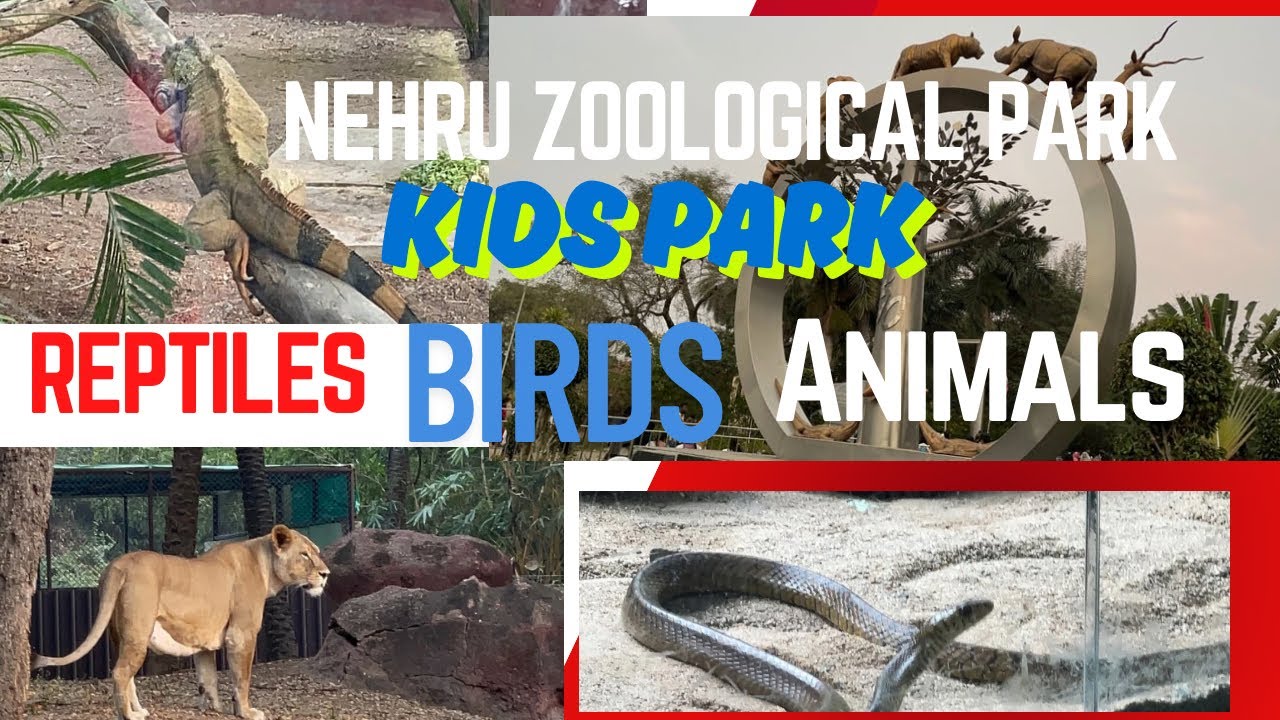 Nehru Zoological park Hyd| Reptiless, Animals, Birds,Kids holiday spot enjoy a lots Dont miss|