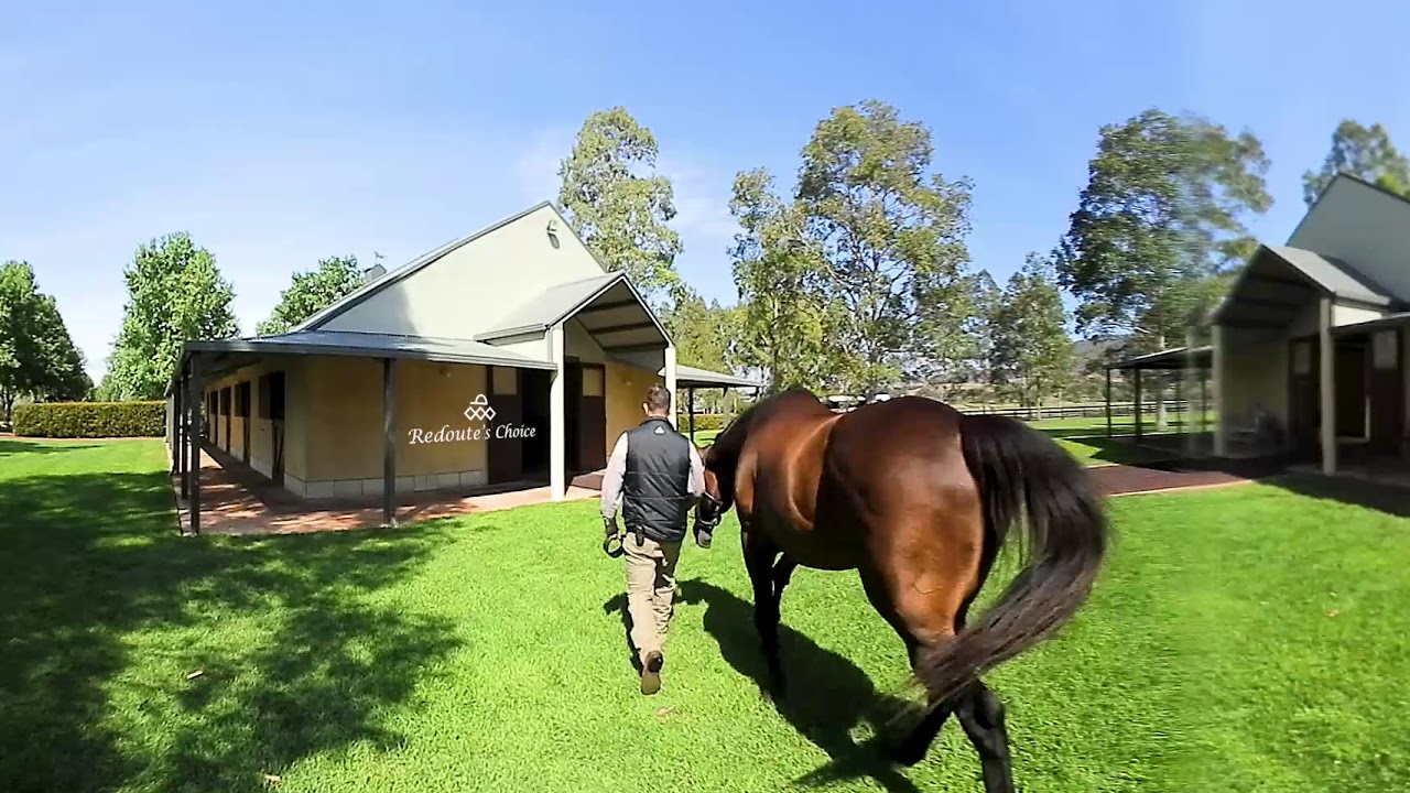 Tour of Arrowfield