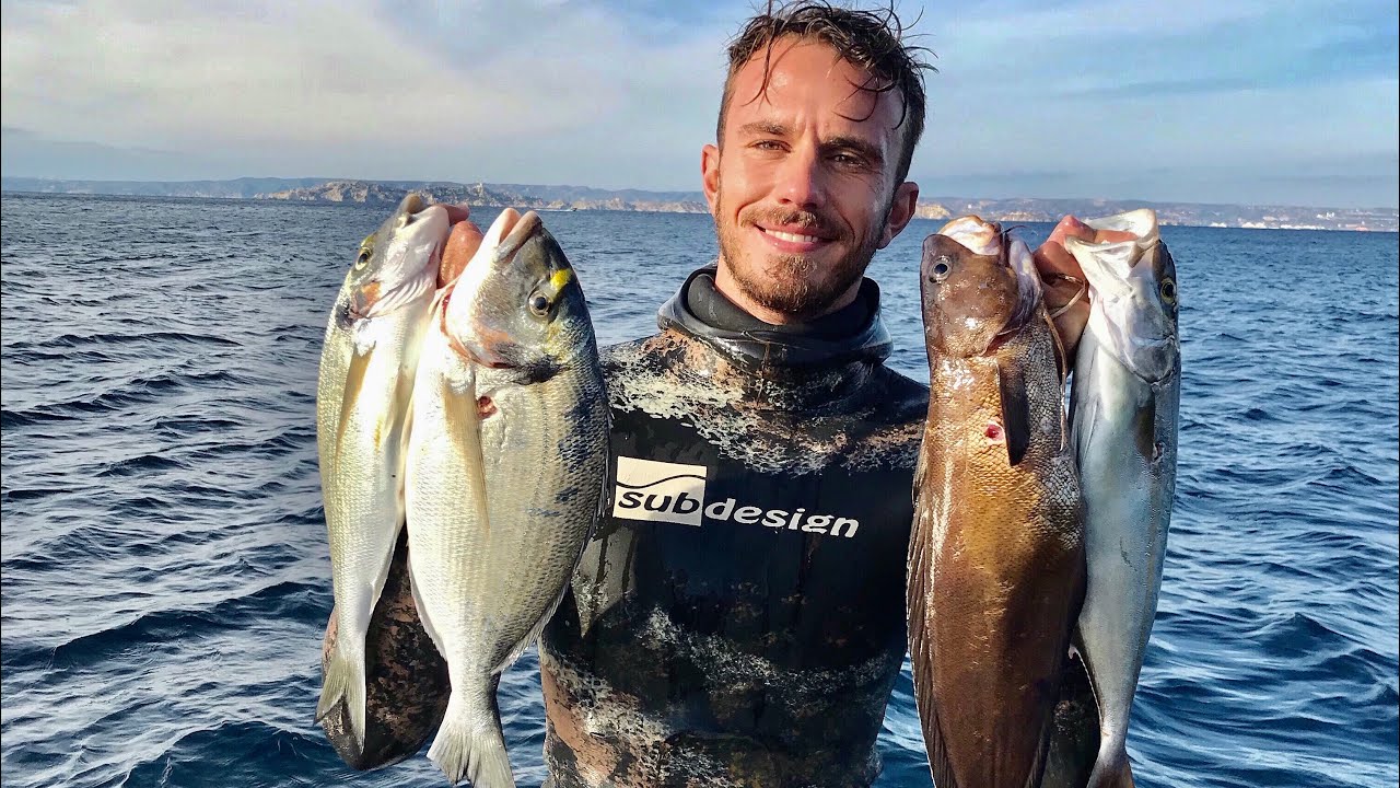 Chasse sous marine à Marseille / Daurades, Loups et Mostelle