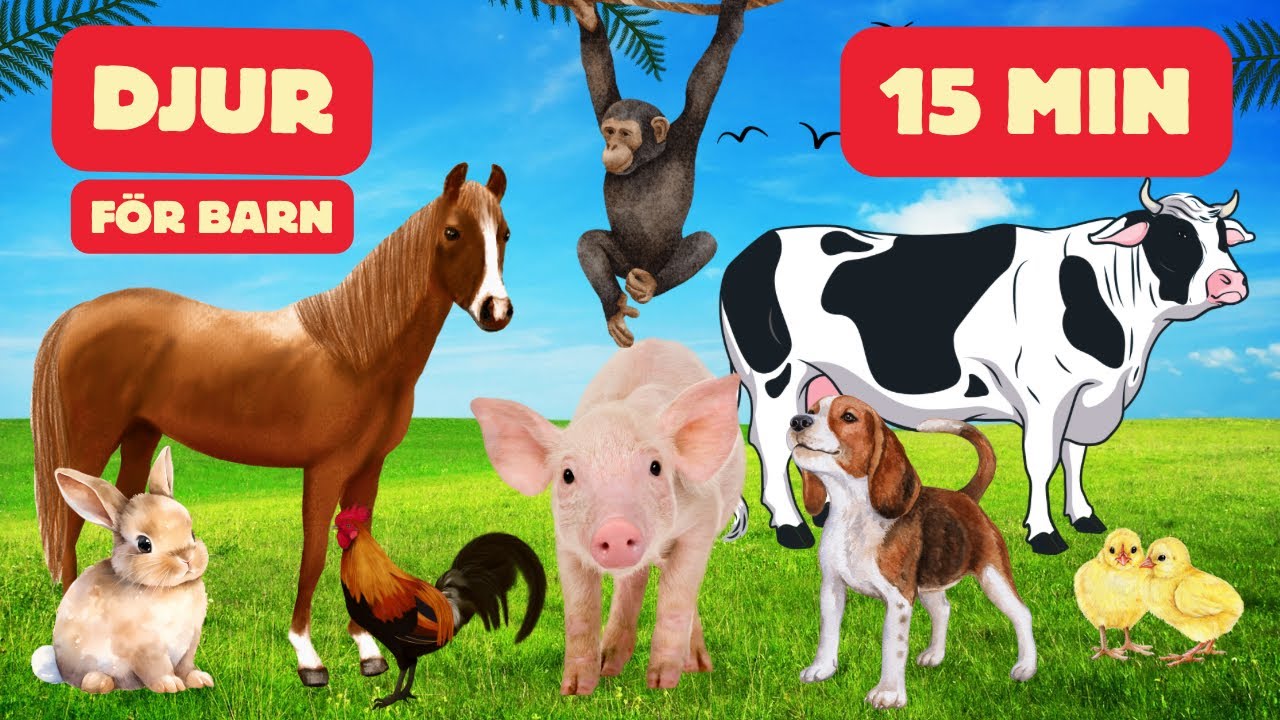 Lär Dig Namn På Djur Och Läten - Svenska För Barn 15 Min