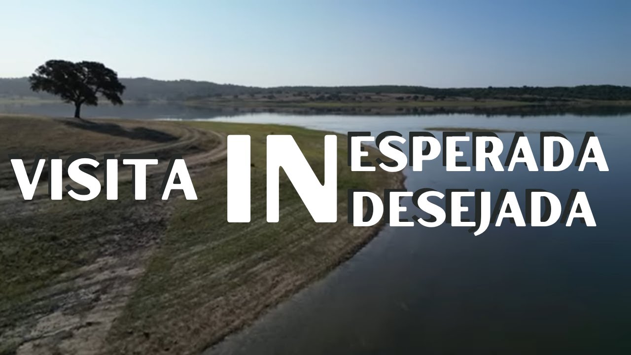Solo Camping em Portugal | Viagem de mota | Natureza