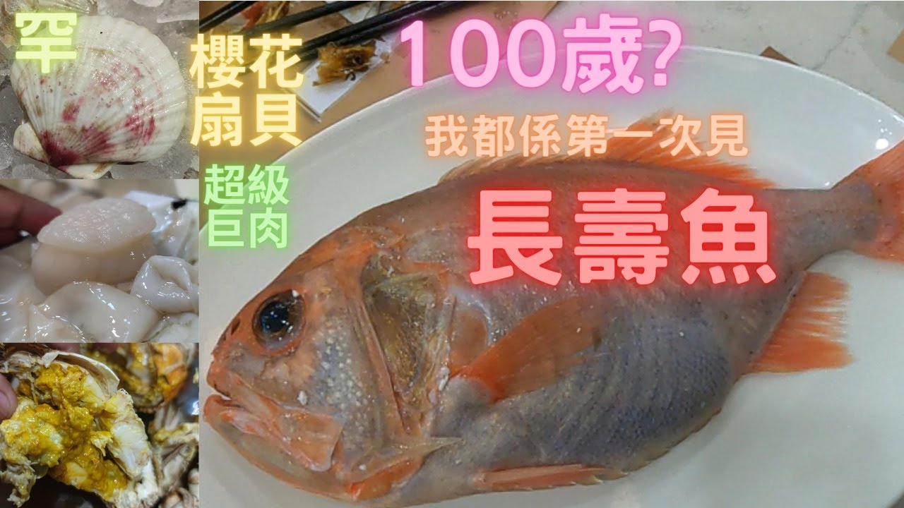 父親節😍居然見到超罕見魚😱長壽魚😍即刻飛出馬鞍山,只係$80接近3斤😍跟住再去楊屋道😎買到超巨肉櫻花扇貝🤤巨重皮奄仔😍親自下廚,玩足一日~fishcutting香港海鮮~社長遊街市Seafood