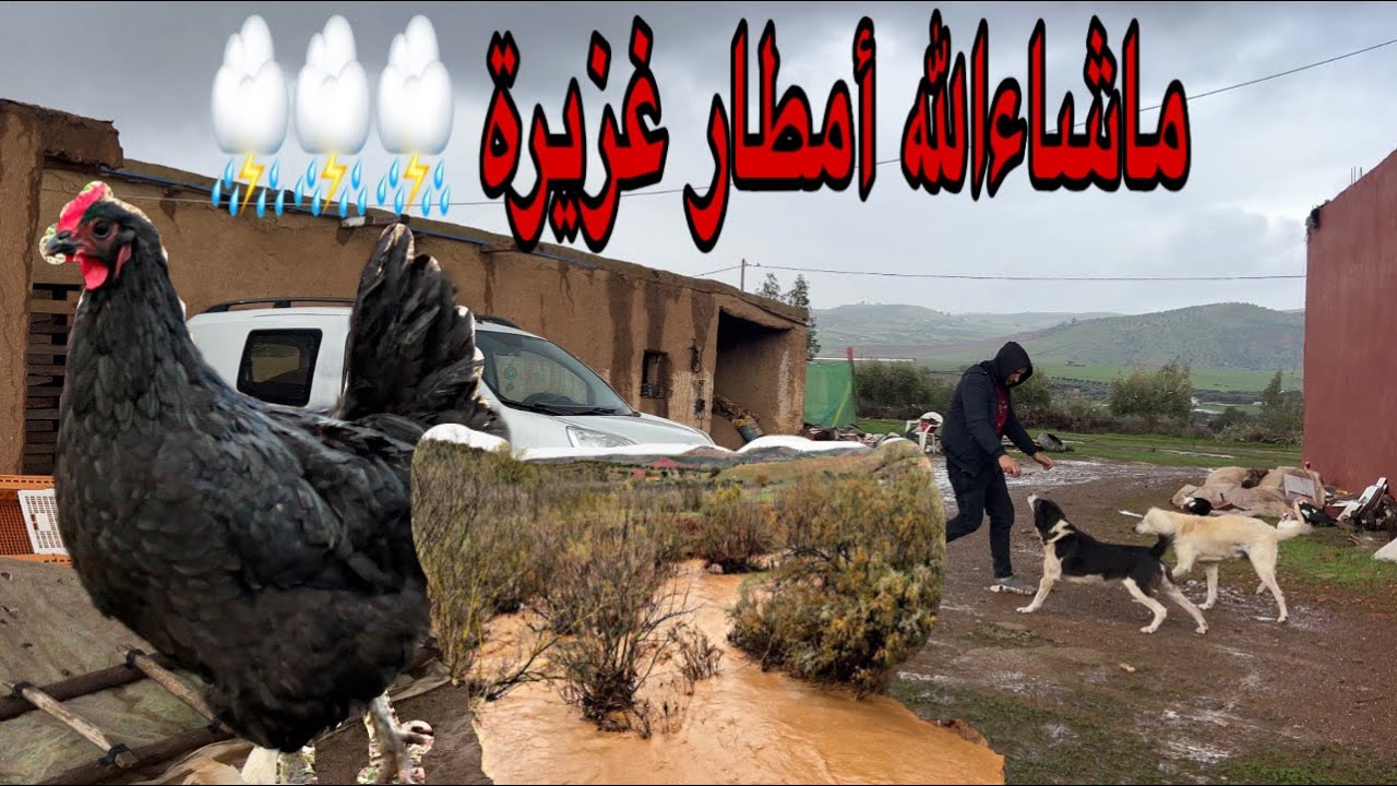 يوم من المطر الغزير ماشاءالله  , العمل لاينتهي رغم المطر, اجواء رائعة رائعه في المنطقة