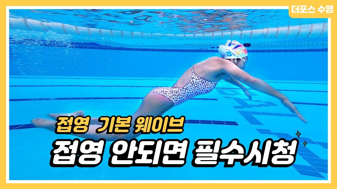 접영 안되면 필수 시청! 접영 웨이브 마스터 (Learning the butterfly wave properly)