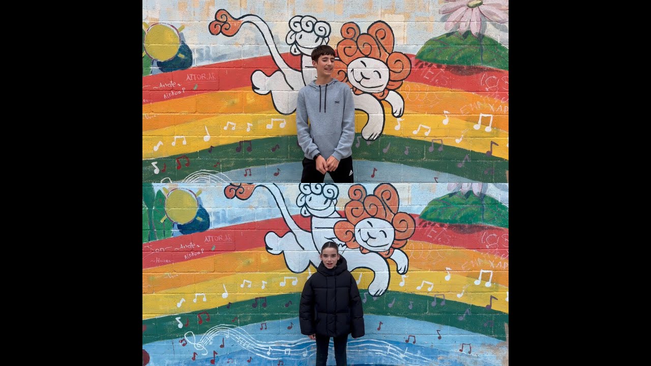 IKASLEEN ESPERIENTZIA / EXPERIENCIA DEL ALUMNADO