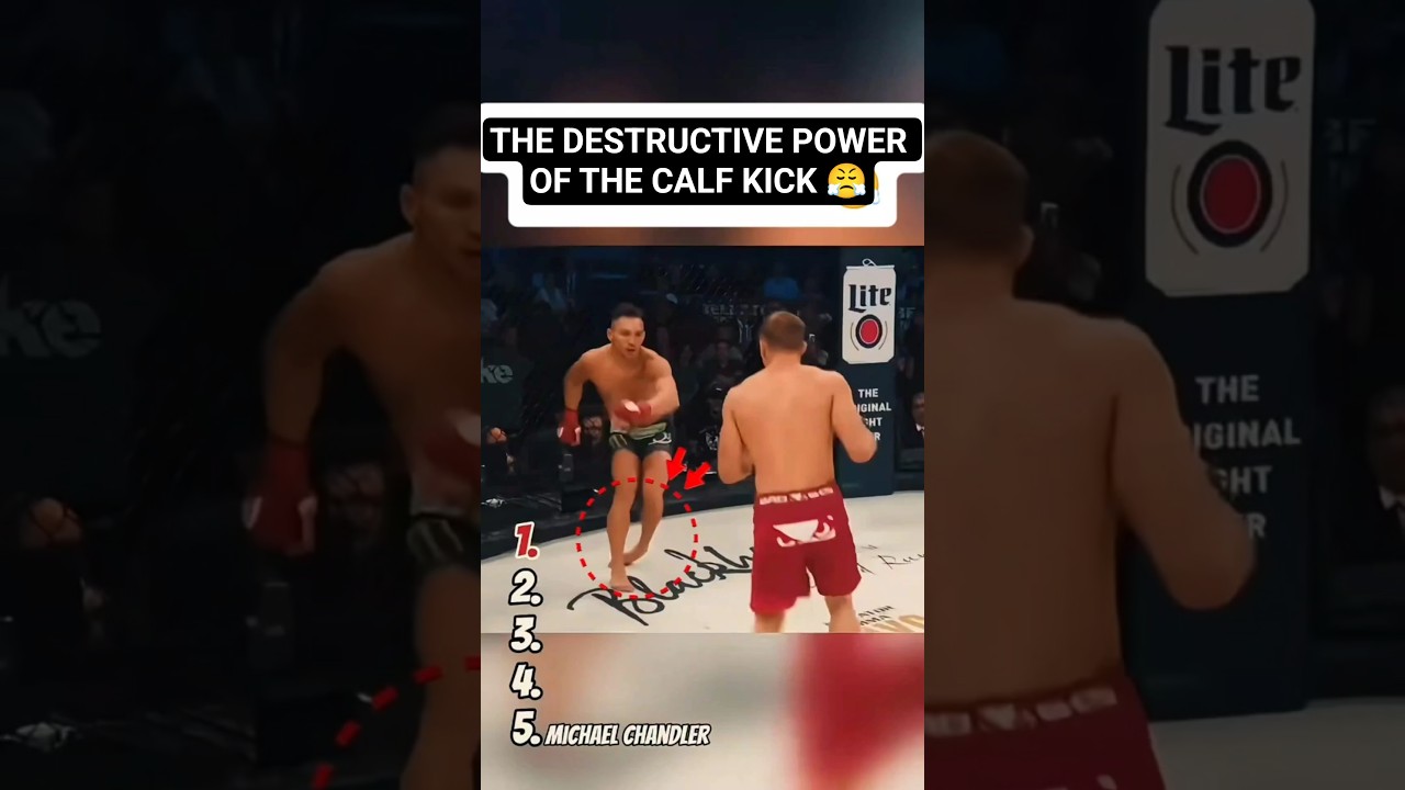 DESTRUCTICE POWER of the CALF KICK 😤 #shorts #ufc #viral #youtubeshorts #kick