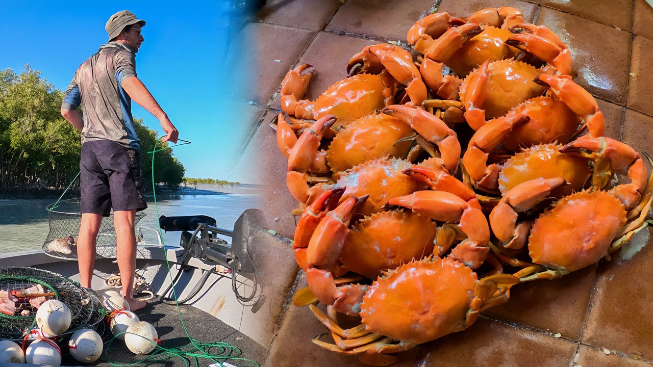 Catch, Cook & Feast: Giant Mud Crab Done Right