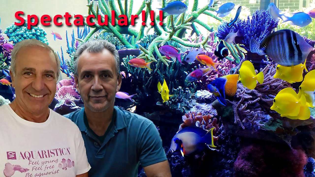 INSIDE the world's BEST TEN-FOOT reef tank!