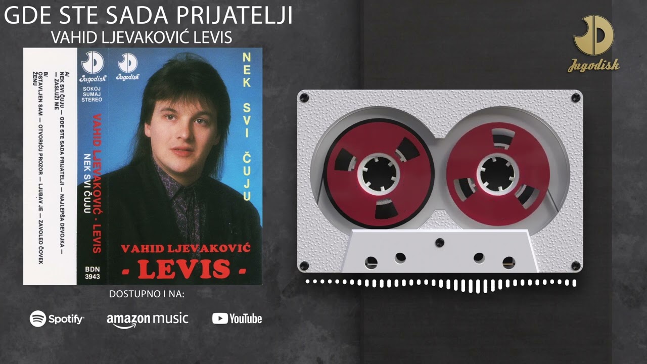 Vahid Ljevakovic Levis - Gde sta sada prijatelji - (Audio 1991)
