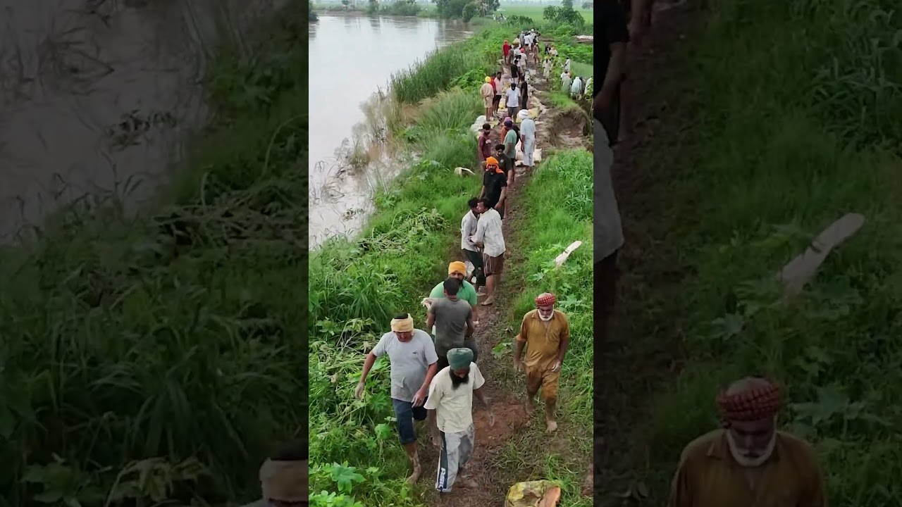 Flood in punjab #flood # #rain #weather #waterfall #waheguruji