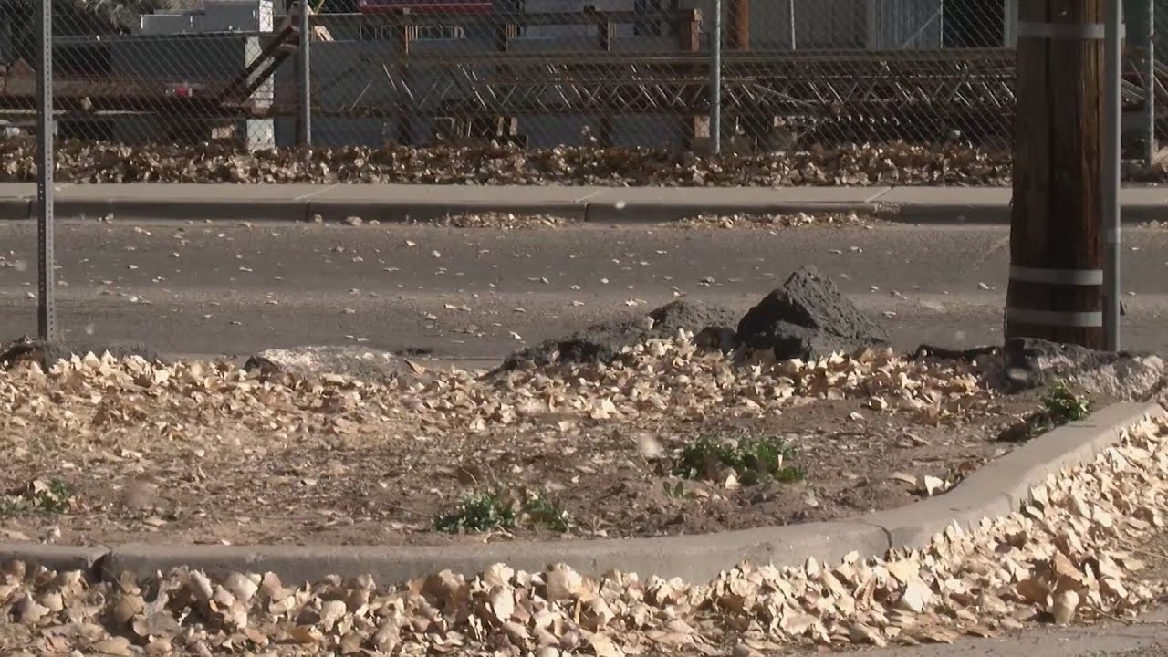Strong winds have New Mexico agencies on high alert for fire threat