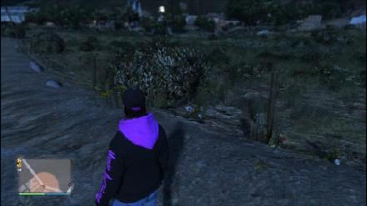 Moments in gta #24