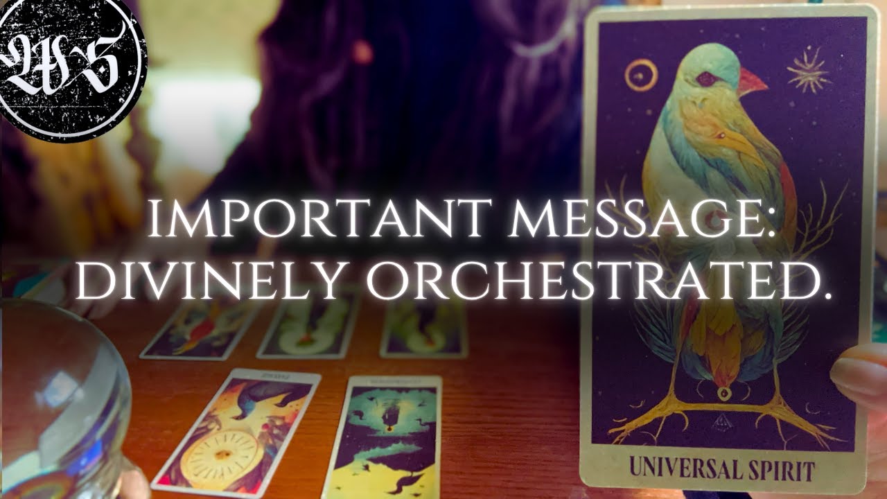 THIS TRANSITION MARKS YOUR REBIRTH INTO YOUR TRUE PURPOSE.