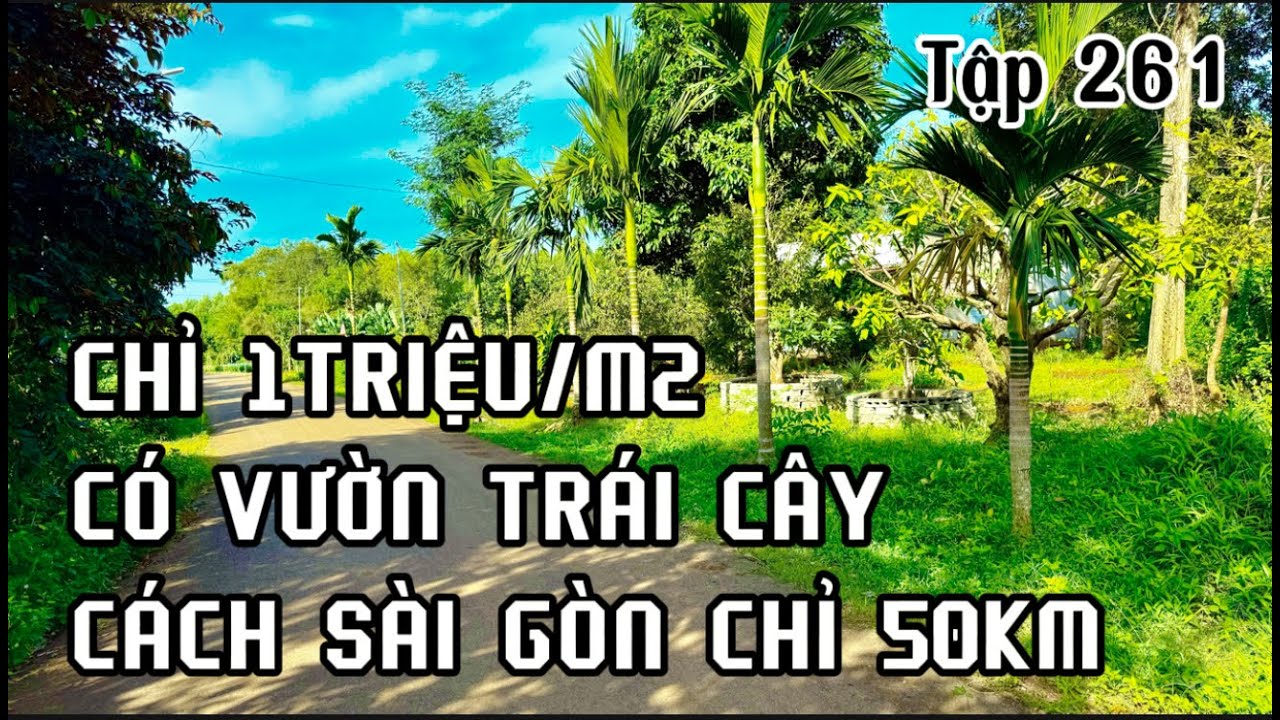 đất vườn vị trí đẹp giá quá tốt đầu tư hay làm nhà vườn đều ok.đất vườn vùng ven bà rịa vũng tàu