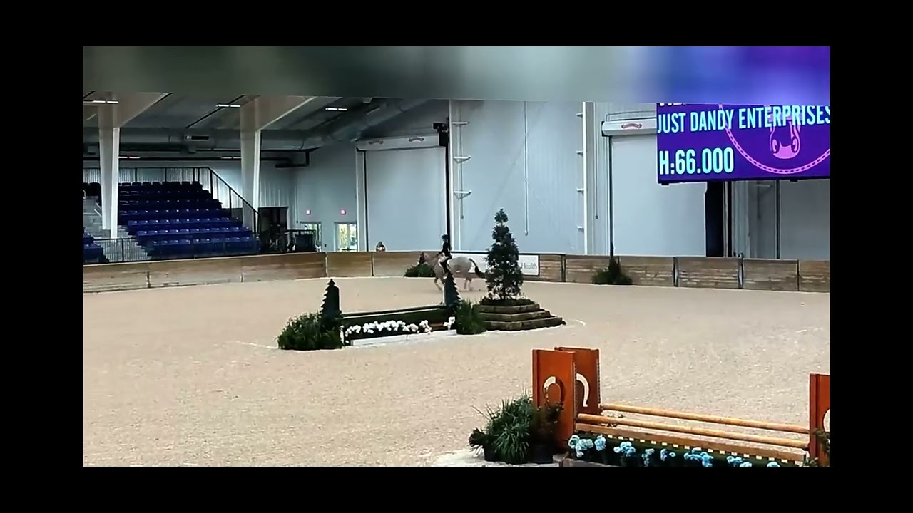 Windsor Jubilee Large Green WEC Ocala