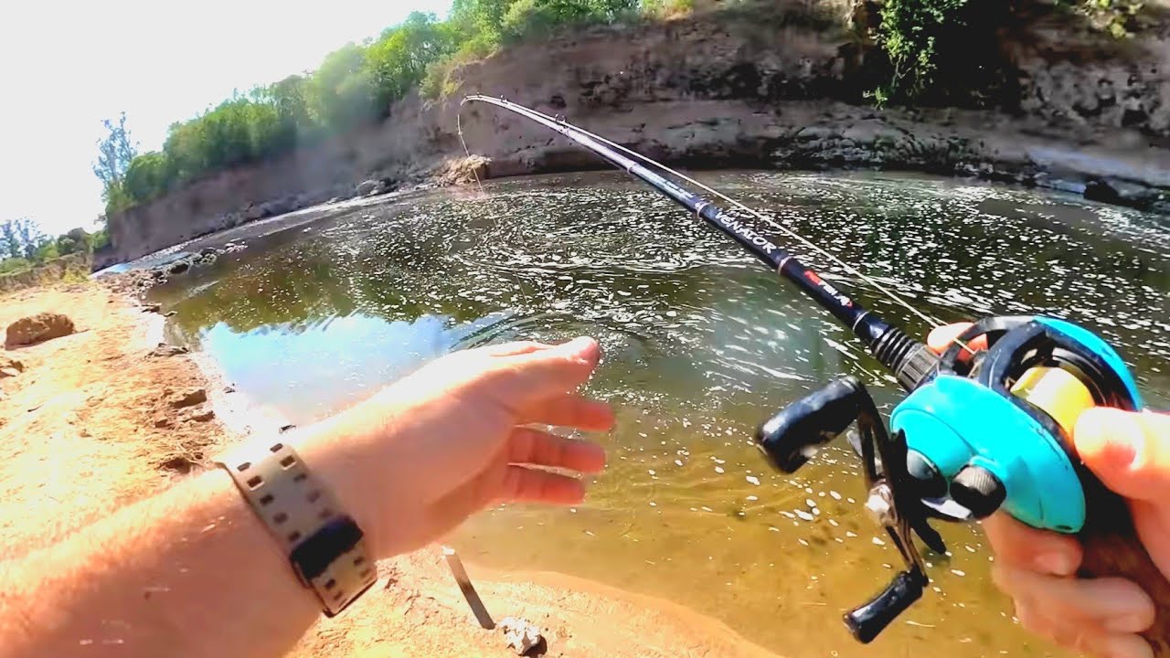 2 días de Pesca, Cocina, exploracíón y supervivencia. pesca urbana. pesca y cocina
