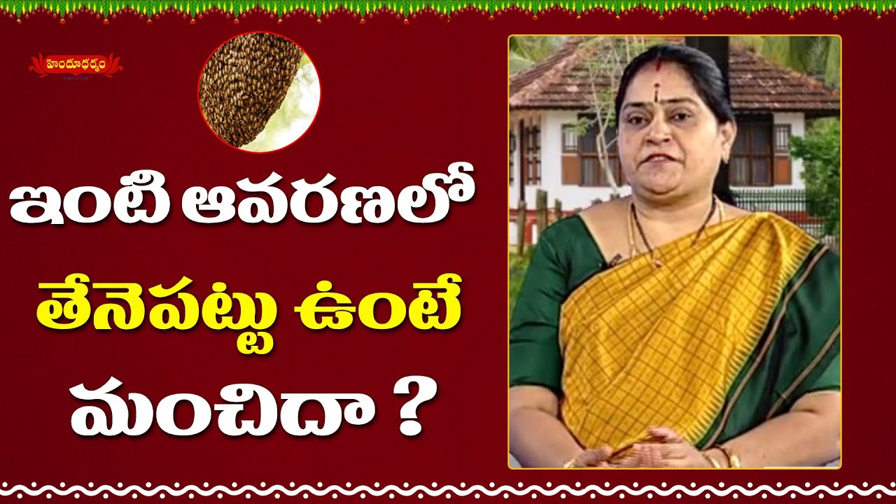 ఇంటి ఆవరణలో తేనె పట్టు ఉంటే మంచిదా  ? కాదా ? | Sampradhayam by Smt P. Ramadevi | Hindu Dharmam