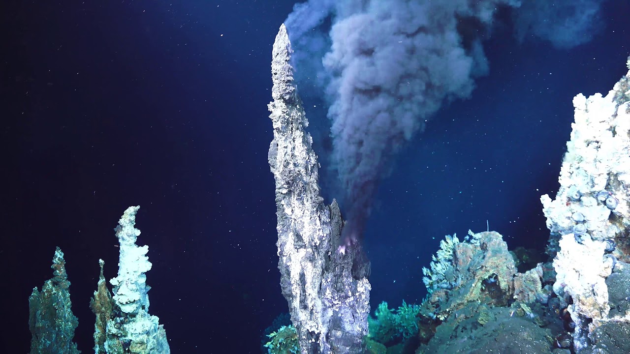 Underwater Fire: Hydrothermal venting highlights