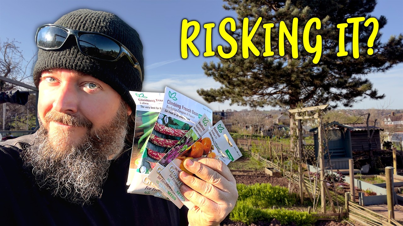 Стоит ли сеять семена так рано? | Садовые участки в Великобритании