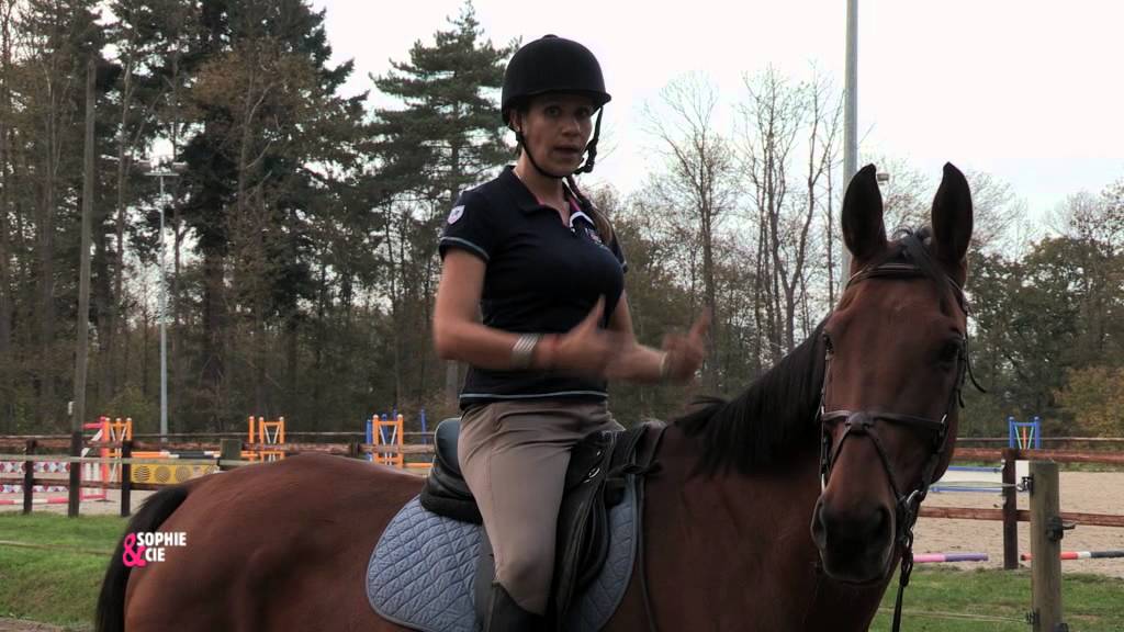 Dresser votre cheval tout en vous amusant