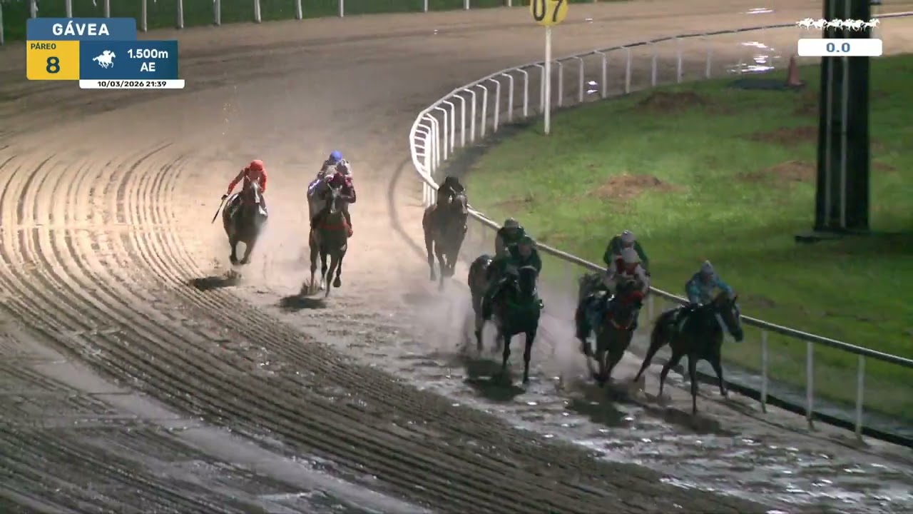 Gávea 10/03/2026 Páreo 08