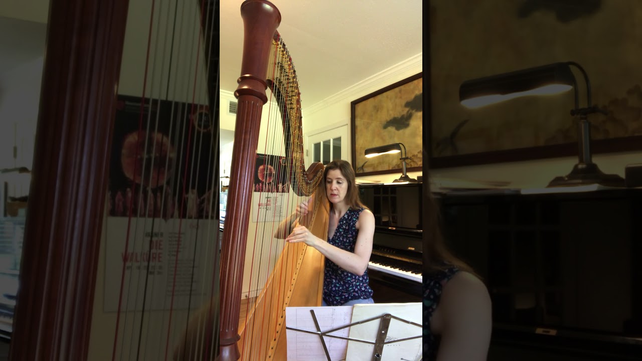 Carlos Salzedo: Menuet, from Eight Dances (Harpist Laurie Meister)