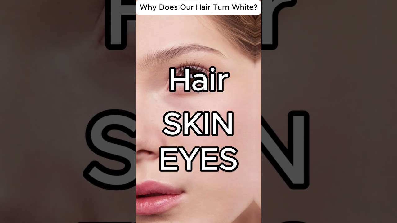 Why Does Hair Turn White As We Grow Older?👴