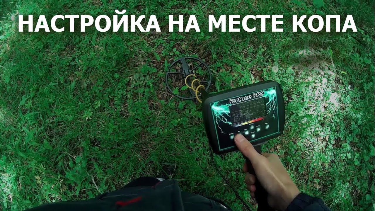 Фортуна-ПРО настройка и коп в лесу
