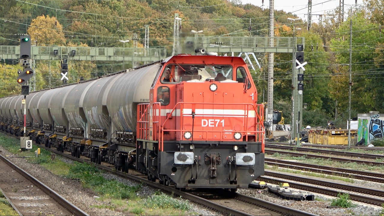 Trains in Cologne - Fall 2024