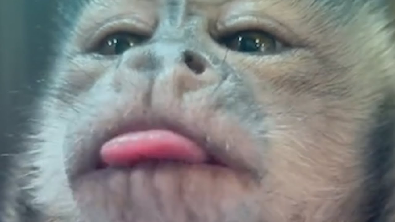 Лучшее от Гейтлин Рэй, часть 2