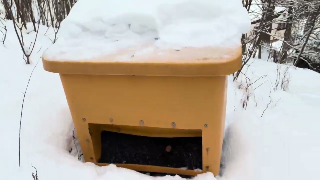 Klingenthal Alm Terror