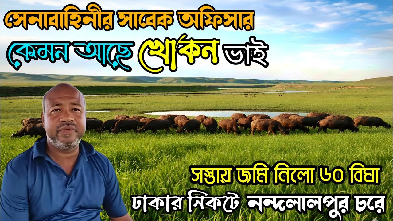 কেন নন্দনালপুর চরে বিপাকে খোকন ভাই তবুও নিলো ৬০ বিঘা জমি RuralLife & BuffaloFarm 