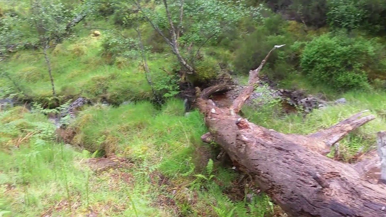 Beinn Eighe - National Nature Reserve