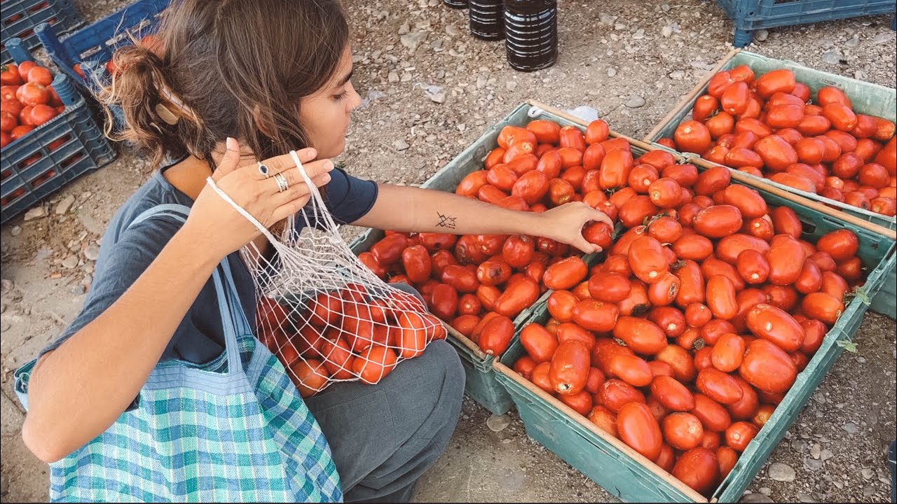 Palamutbükü Pazarı ve Ekim Ayında Deniz | Ep.37
