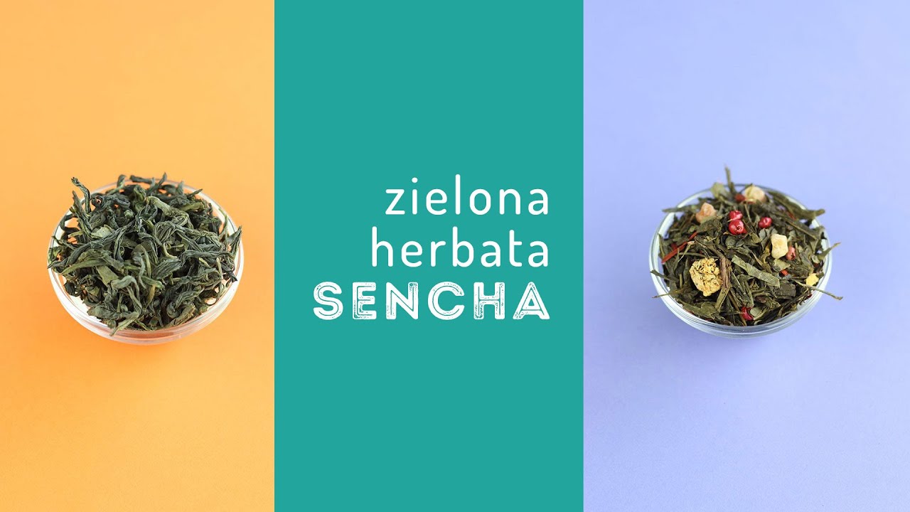 Herbata zielona Sencha: parzenie herbaty, właściwości, pochodzenie, produkcja. Czajnikowy.pl