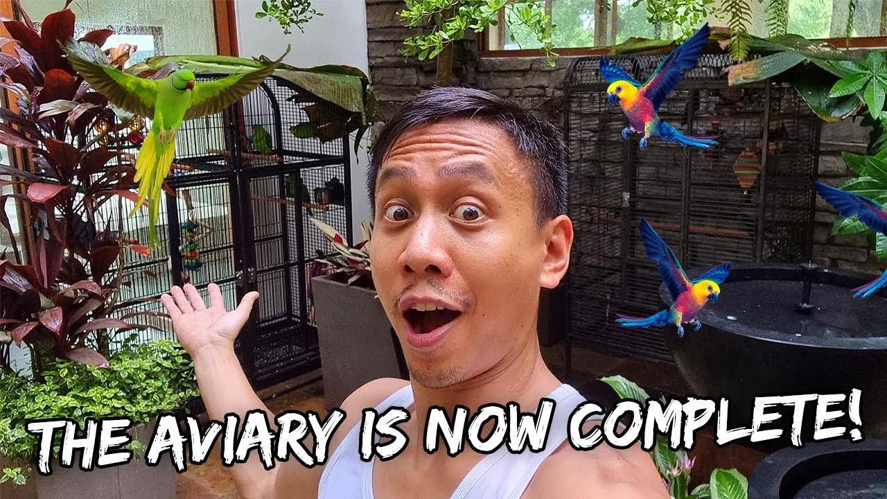 Moving the Birds Into Our New Giant Home Aviary - Sept. 14, 2022 | Vlog #1555