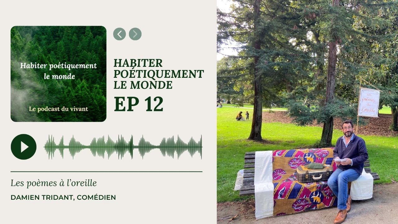Episode 12 - Damien Tridant, 