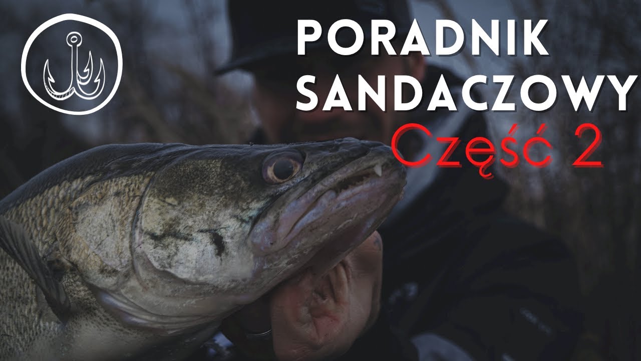 Jak złowić sandacza ▪️ Wszystko o łowieniu sandaczy ▪️ Zestaw i badanie dna