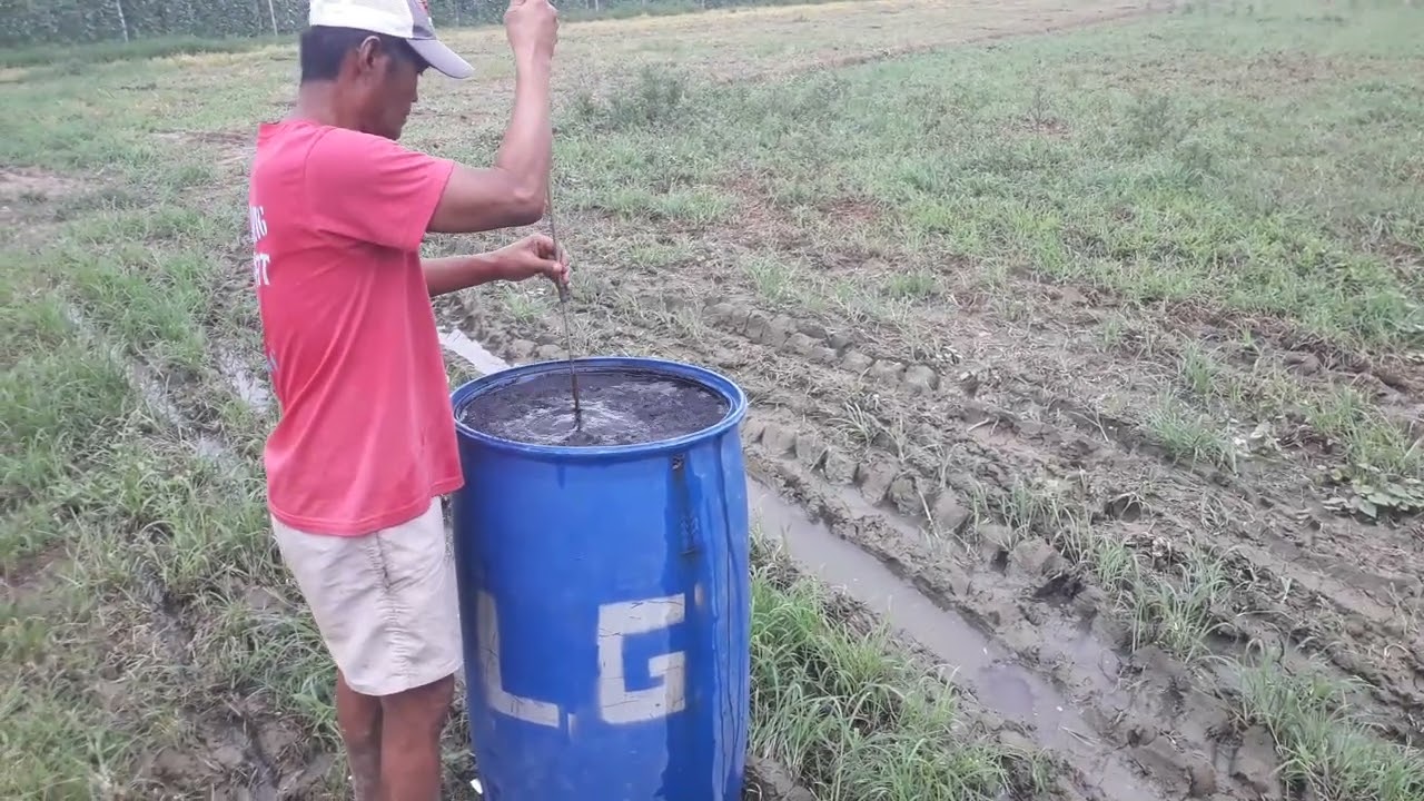 Processing Chicken Manure to Organic Fertilizer Using Decomposer Bio Enzyme