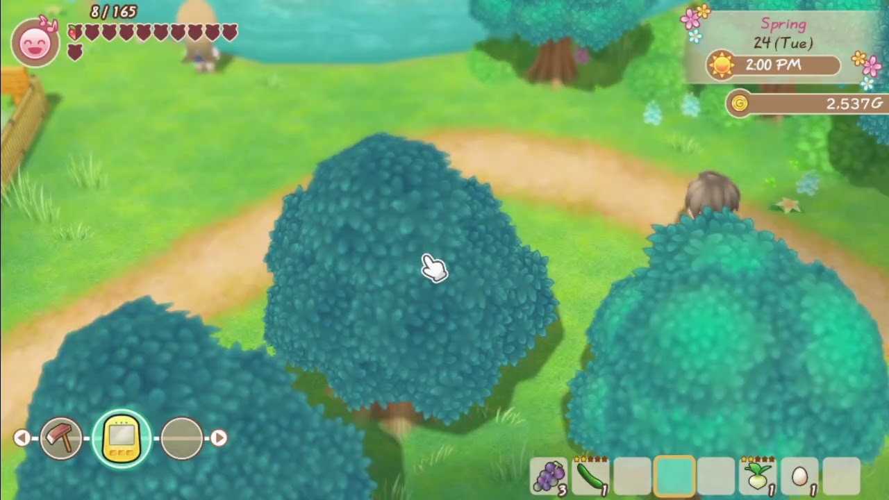 eggs - Story of Seasons Friends of Mineral Town part 8