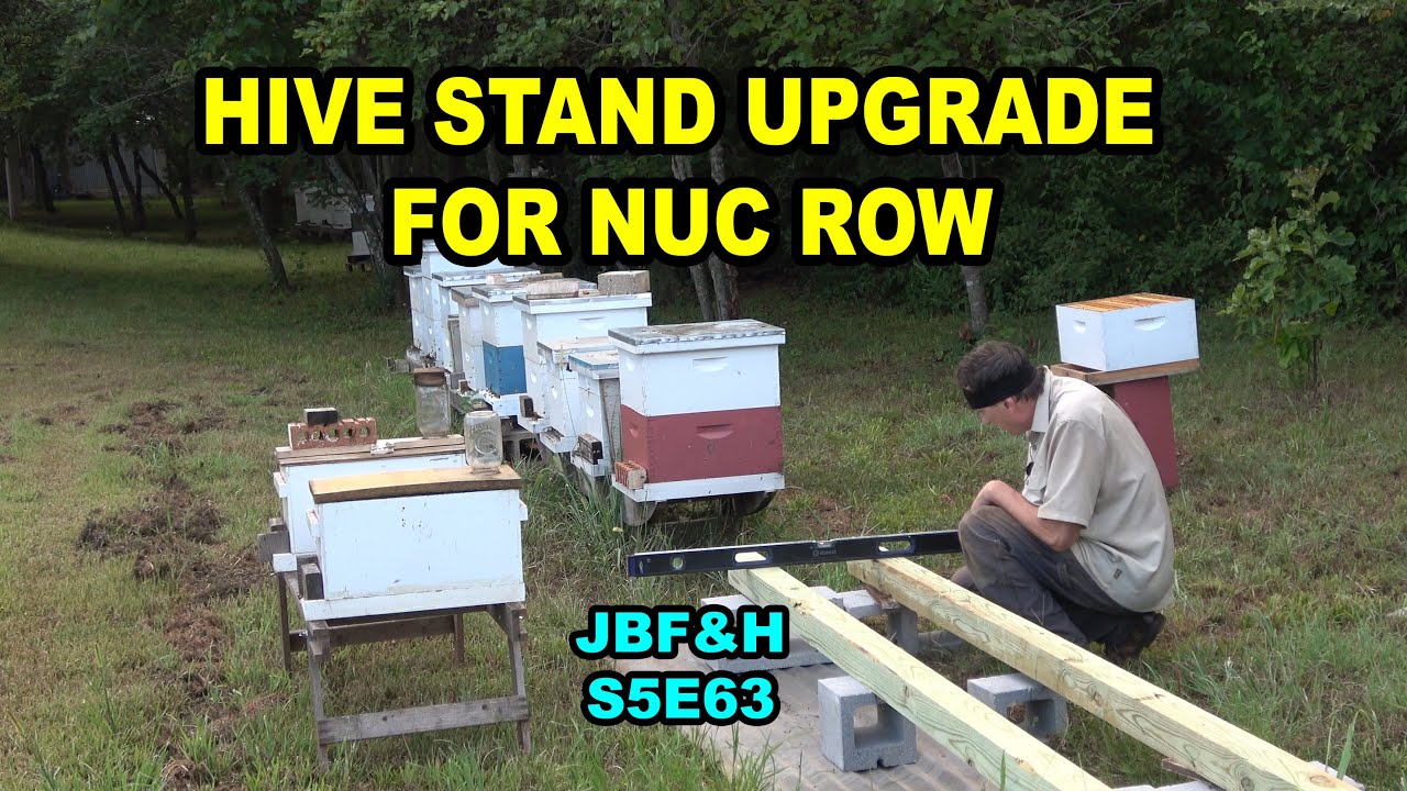 Hive Stand Upgrade for Nuc Row S5E63 #beekeeping