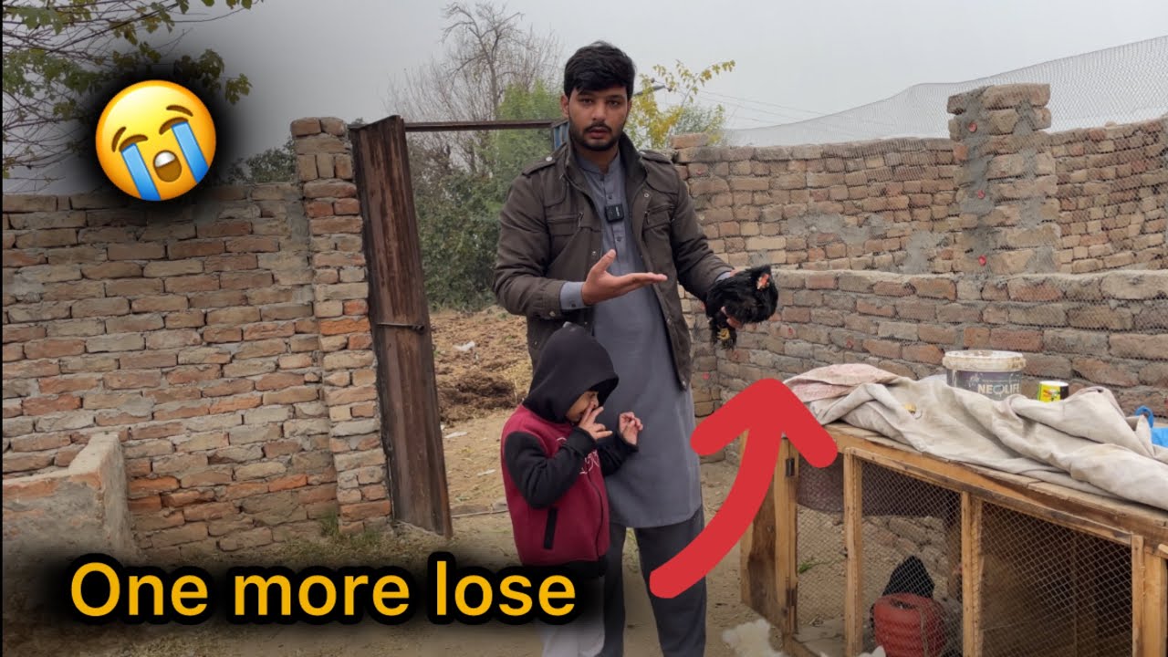Another Hen Died Today 😔 Daily Farm Life | Ch Yaseen Vlogs 