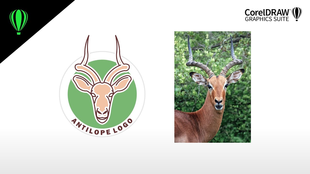 CorelDRAW tips&tricks - how to draw an animal logo using CorelDRAW Graphics Suite 2025