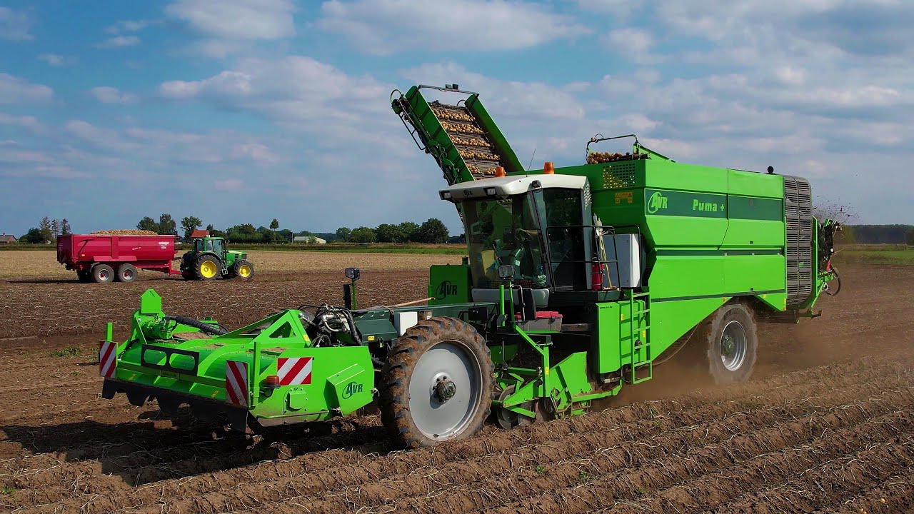 Aardappels rooien | Potato harvest | Kartoffelernte | AVR Puma | John Deere | Aardappelseizoen 2022