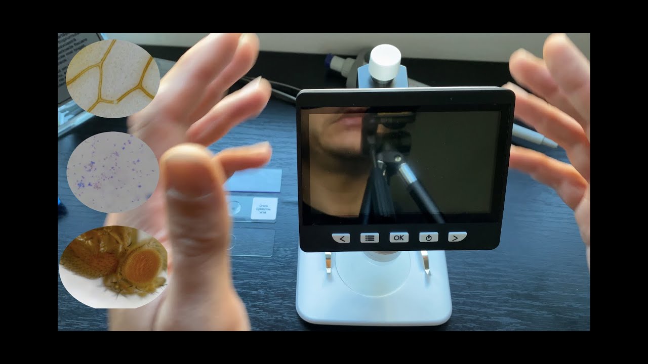 Подробный обзор недорогого цифрового микроскопа с 1000-кратным увеличением (для биологии)