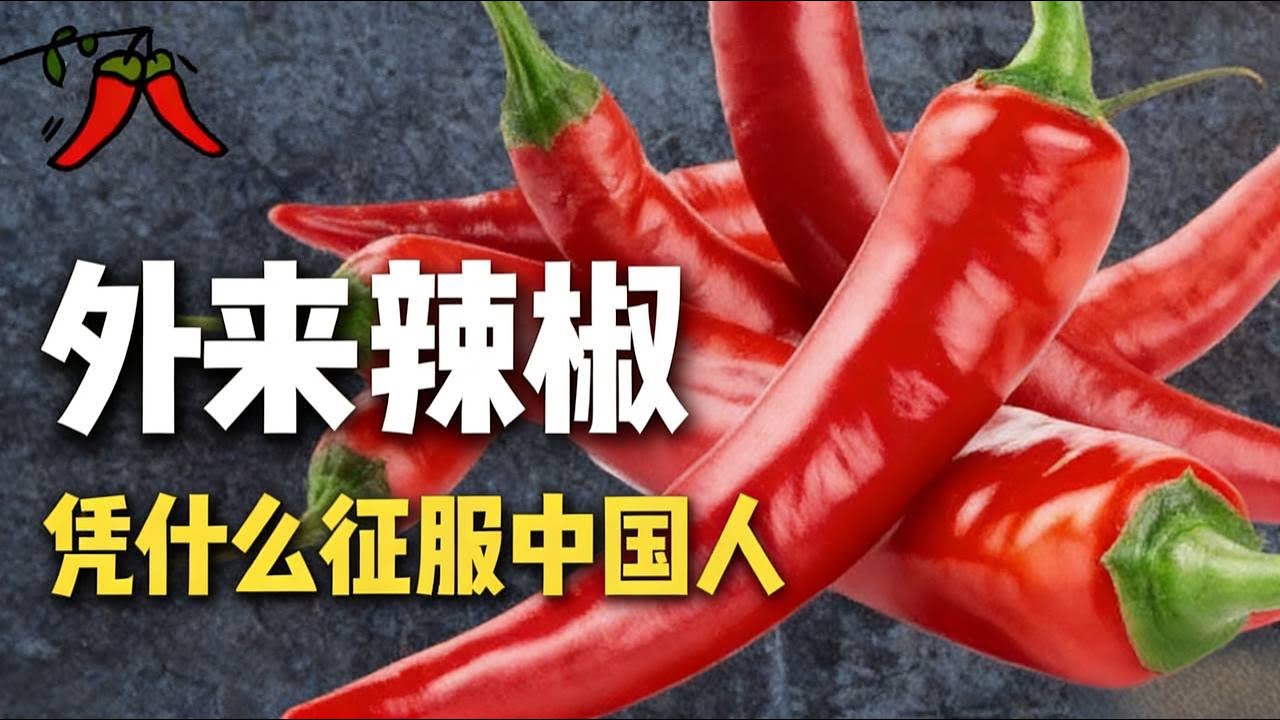 辣椒：凭什么征服 14 亿中国人的胃？ |辣椒 |美食|辣味