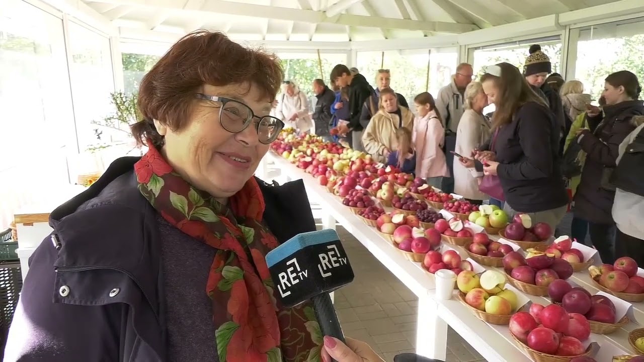 Mājā un sētā: Vislabākais ābols sidram ir saldi rūgts